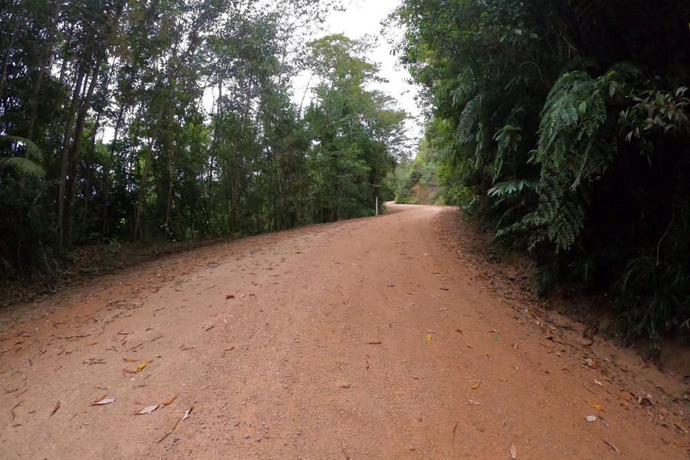 Kirrama Range Road Now Open Cairns Local News Free to read No